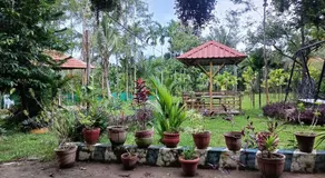 Manna Homestay coorg - Image 3