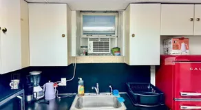 Completely Private 2 BR Apt with Backyard in LIC !!! - Image 5