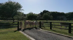 DOMAINE DE JANVILLE - Image 5