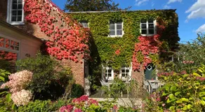 Hotel Altes Dichterhaus - Image 2
