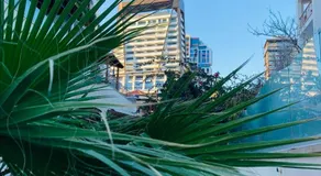 Co-living beach house by the sea in Limassol center - Image 4