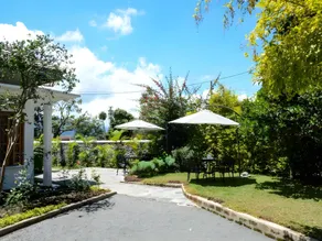 Hotel Mount Pleasant - Image 4