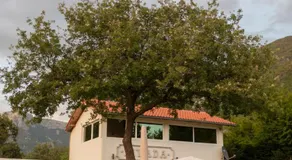 Apartman Livada Bar - Image 5