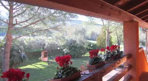 Agriturismo Casale il Gallo Bianco - Image 3