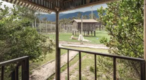 Tenikwa Wildlife Centre & Spa - Image 4
