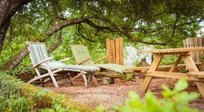 Tiny Messancy, une immersion dans la nature ! - Image 5
