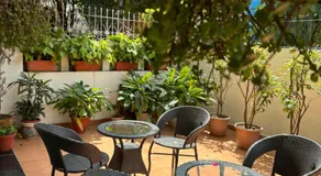 The Neem - Image 4