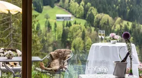 Bio-Berghotel Ifenblick - Image 3