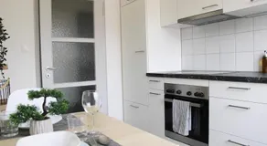 New & Modern Apartment with Beautiful Lake View! - Image 3
