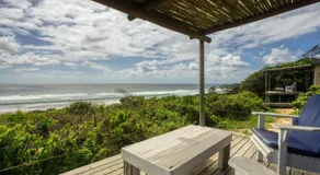 Baleia Azul 11 - Image 5