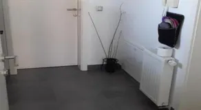 Apartments Da - Dent - Image 4
