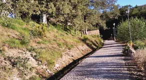 Ninho da Avó Selvagem - Image 5