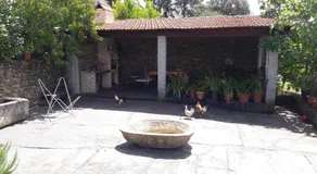 Quinta Drº Amarante - Image 4