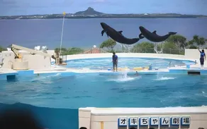 Little Island Okinawa Nago - Image 3