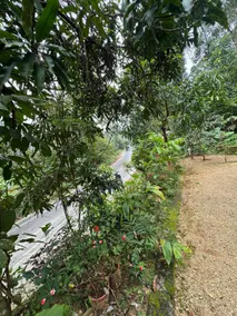 Parathanathu_Homestay - Image 5