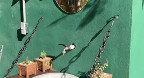Casa Luna Bonita - Image 3