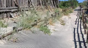 Salento sea mare - Image 5