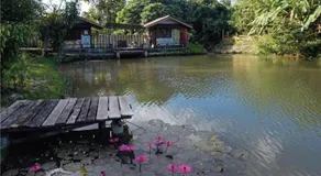 ภูทรายแก้วรีสอร์ทวังน้ำเขียว - Image 5