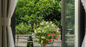 Sai Gon Stay-Hi-Tech Park Collection - Image 4
