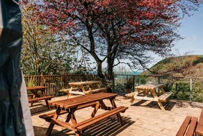 Bryn Berwyn Country House Tresaith - Image 3