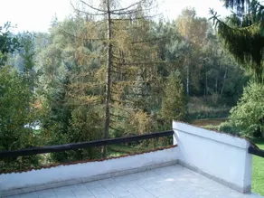 Townhouse in Bechyne with Private Pool - Image 4