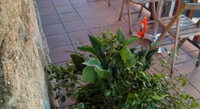 Casa Cruceiro - Image 5