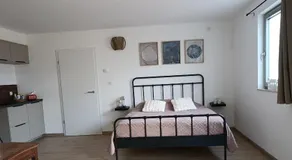 Bois de rose - Image 2