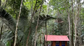 Chalé Trem da Mata - Image 4
