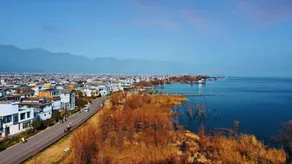 youyouxiaoduo - Image 3