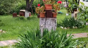 Casa traditionala Subcetate - Image 5