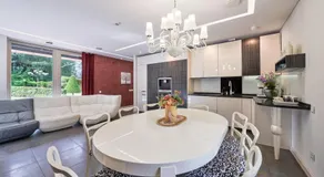 Luxury villas Kaunas - Image 3