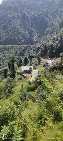 Bogchi Hotel - Image 4