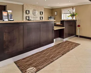 Comfort Inn Hotel Brampton - Image 2