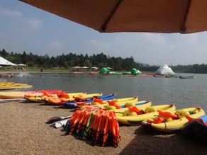 Biệt thự Forest R331 Flamingo Đại Lải Resort - Image 4