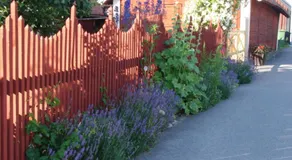 One Room Bed & Breakfast - Image 3