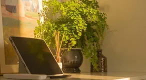 COZY HOME - Green kitchen with 2 bedrooms - Image 5