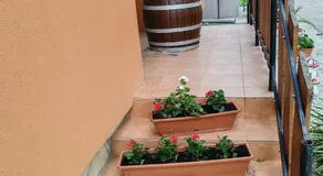 Zeg-zug Vendégház - Image 4