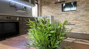 Guest House Amore - Image 4