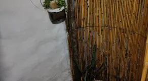 Cabaña HobbitXoxo - Image 2