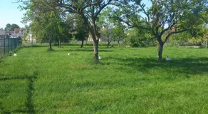 Maison charmante à Chepy avec jardin et piste de pétanque - Image 2