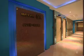Bucheon Cats Hotel - Image 3