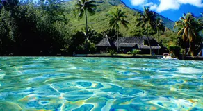 Poerani Moorea - Image 5
