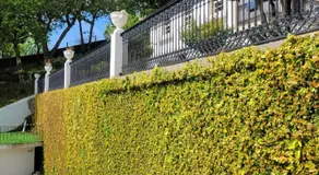 Quinta da Xistosa - Image 5
