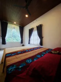 Pine ridge homestay kuttikanam - Image 5