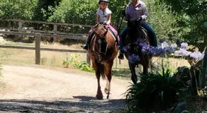 Hill Top Park - Apple Tree Studio - Image 5