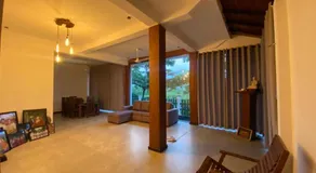 Mango Shade - Image 2