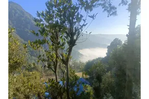 Hidden Valley Homestay, Pangot - Image 4