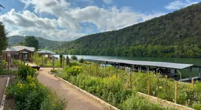 Lake Austin Spa Resort - All Inclusive - Image 4