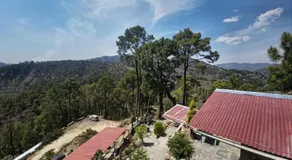 Pine Valley Binsar - Image 5