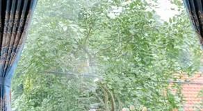 Cosiana Homestay - Image 4